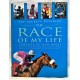 BOOK – SPORT – HORSERACING – THE RACE OF MY LIFE by SEAN MAGEE